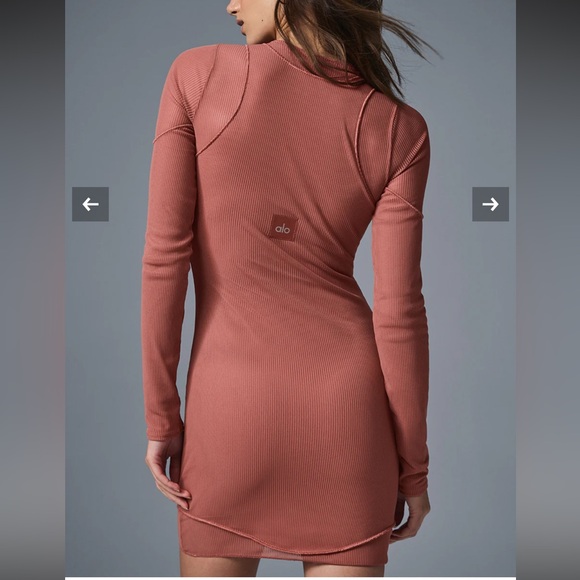 ALO Yoga Pink Mesh Bodycon Dress - Picture 2 of 6